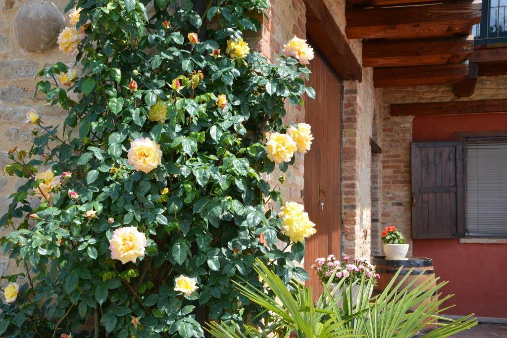 Da Fabiana Bed & Breakfast Bossolasco Екстериор снимка